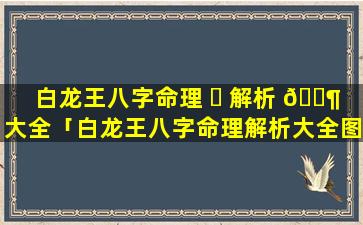 白龙王八字命理 ☘ 解析 🐶 大全「白龙王八字命理解析大全图片」